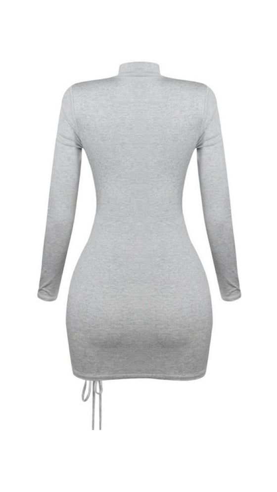 Ruched Side Long Sleeve Mini Dress